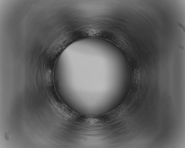 X0000103450650200809191749