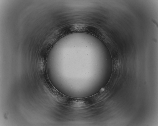 X0000103450651200809191749