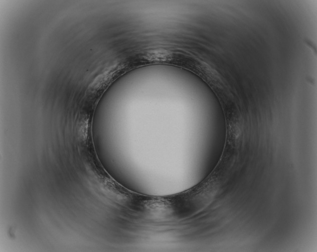 X0000103450652200809191749