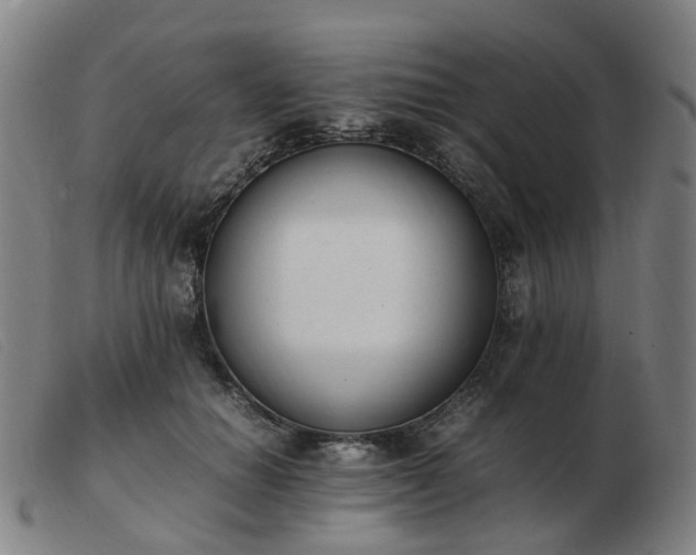 X0000103450654200809191749