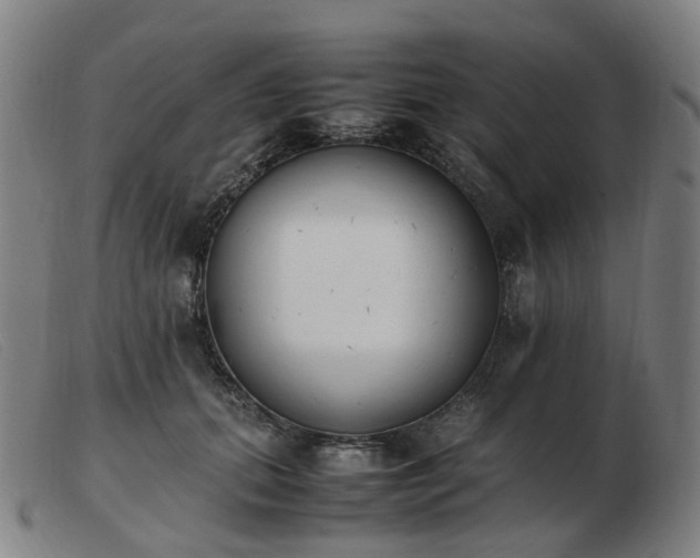 X0000103450655200809191749