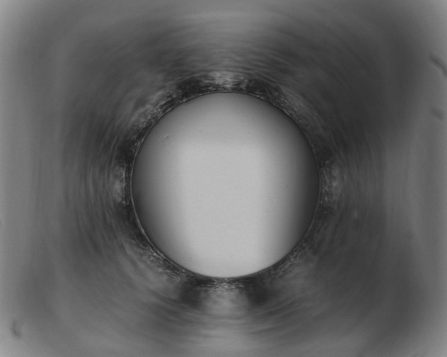X0000103450656200809191749