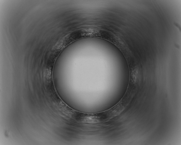 X0000103450657200809191749