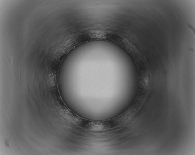 X0000103450658200809191749