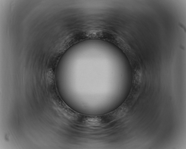 X0000103450659200809191749