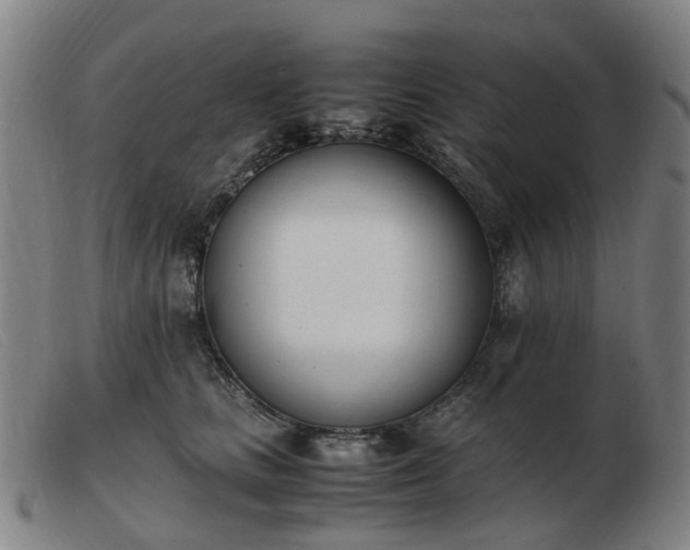 X0000103450661200809191749