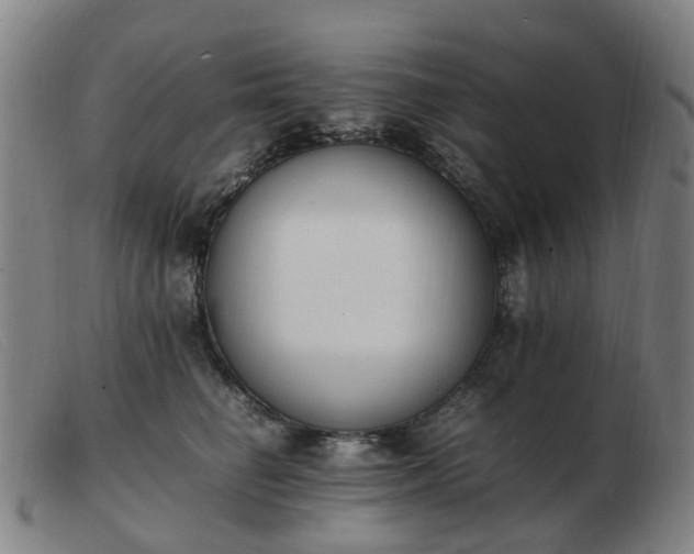 X0000103450662200809191749