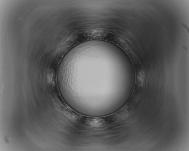 X0000103450663200809191749