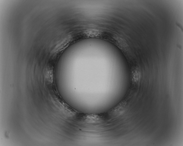 X0000103450666200809191749