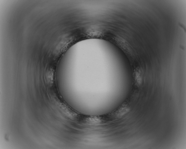 X0000103450668200809191749