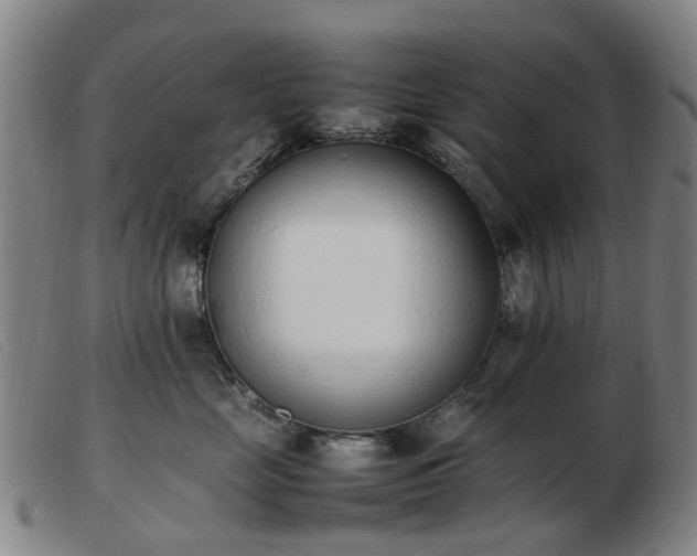 X0000103450669200809191749