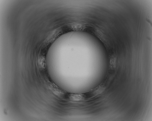 X0000103450671200809191749