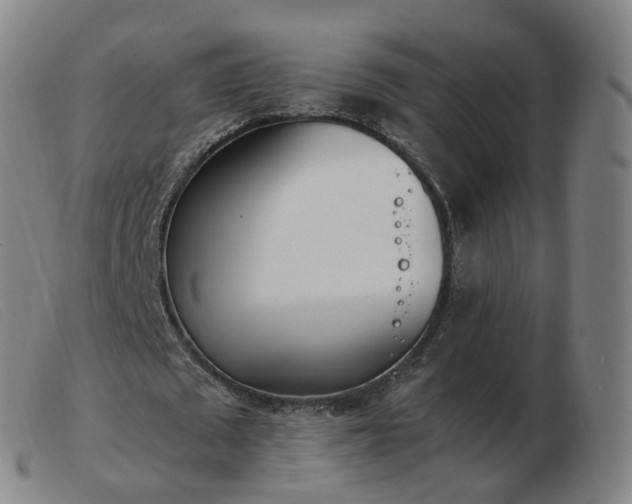 X0000103450673200809191748