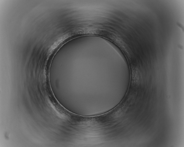 X0000103450674200809191748