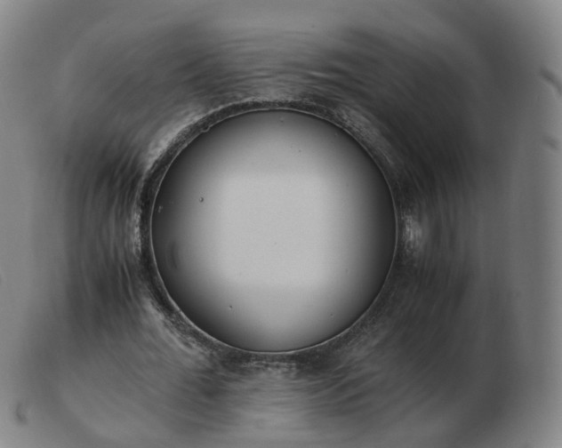 X0000103450676200809191748
