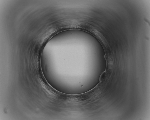 X0000103450677200809191748