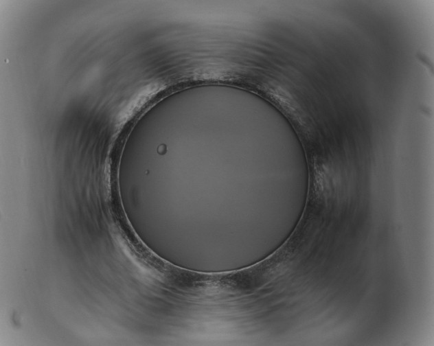 X0000103450678200809191748