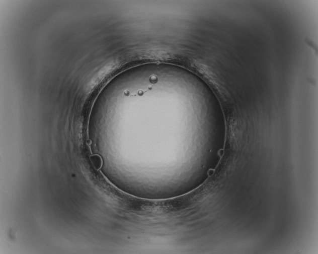 X0000103450679200809191748