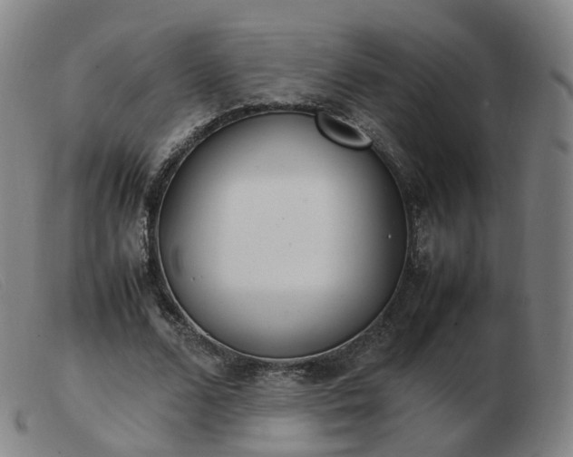 X0000103450680200809191748
