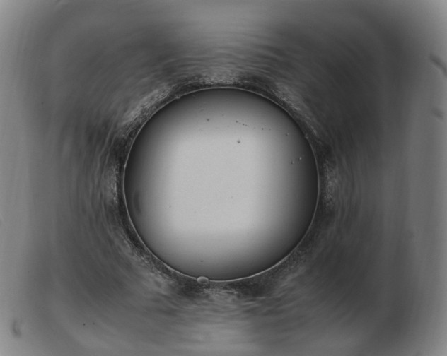 X0000103450681200809191748
