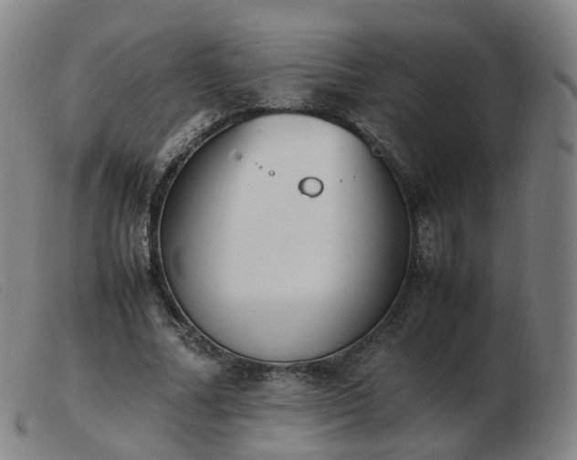 X0000103450682200809191748