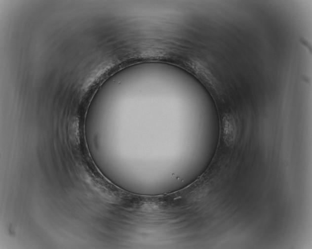 X0000103450684200809191748