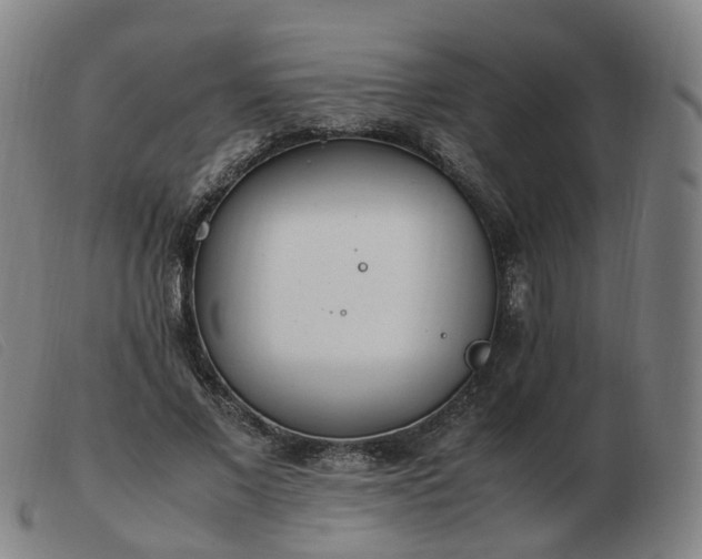 X0000103450685200809191748