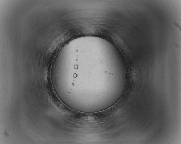 X0000103450687200809191748