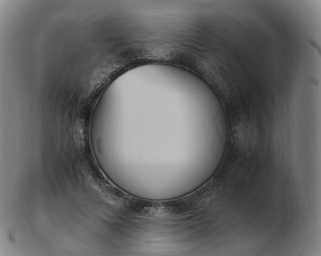 X0000103450688200809191748