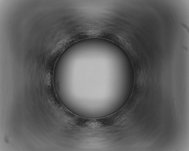 X0000103450689200809191748
