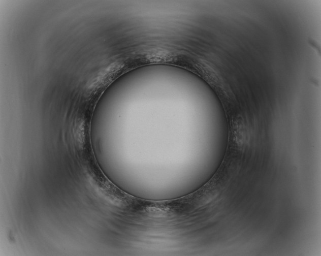 X0000103450690200809191748