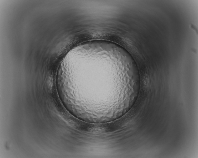 X0000103450691200809191748
