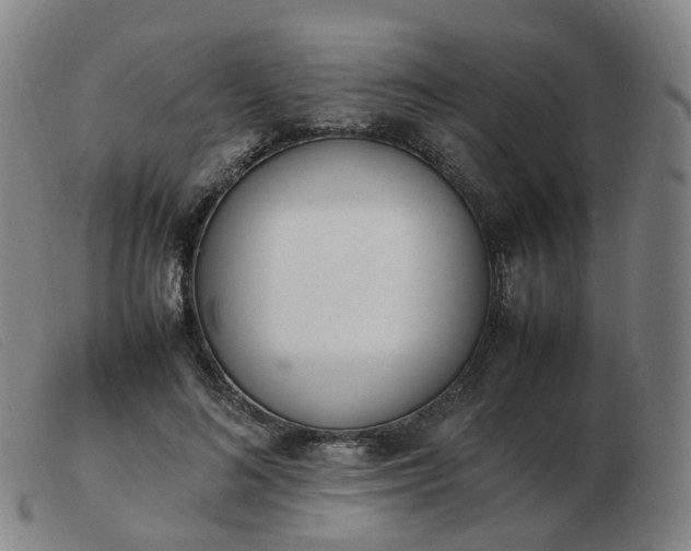 X0000103450692200809191748