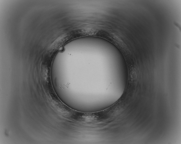 X0000103450693200809191748
