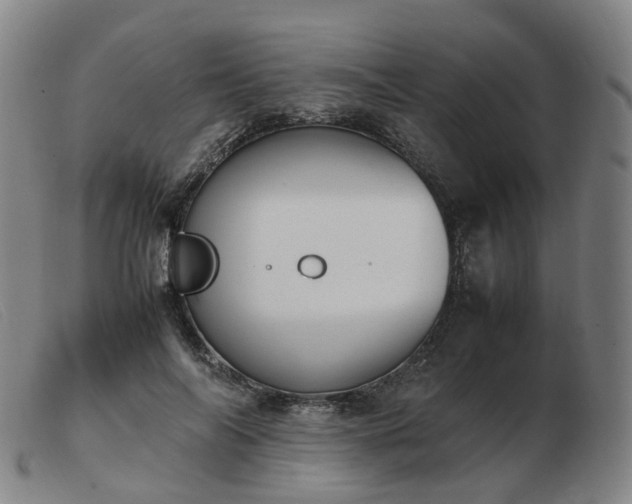 X0000103450694200809191748