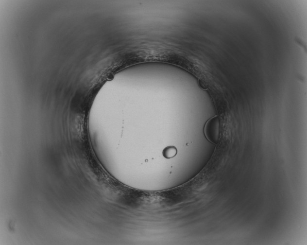 X0000103450695200809191748
