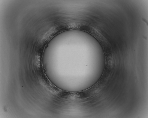 X0000103450696200809191748
