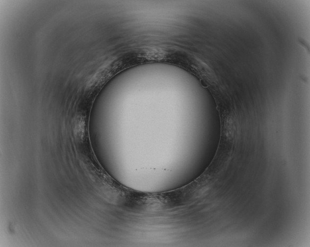 X0000103450697200809191748