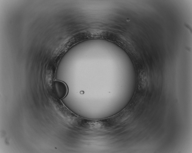 X0000103450698200809191748