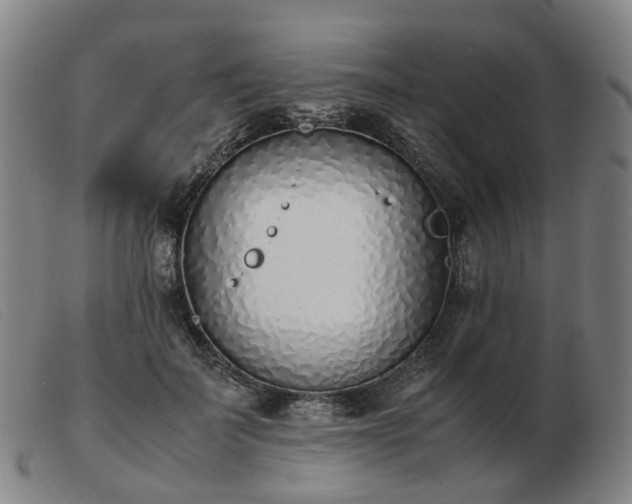 X0000103450699200809191748