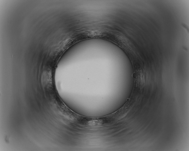 X0000103450700200809191748
