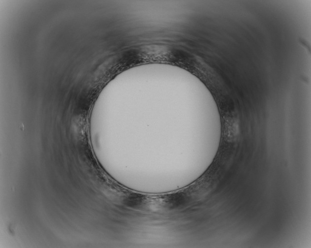 X0000103450701200809191748