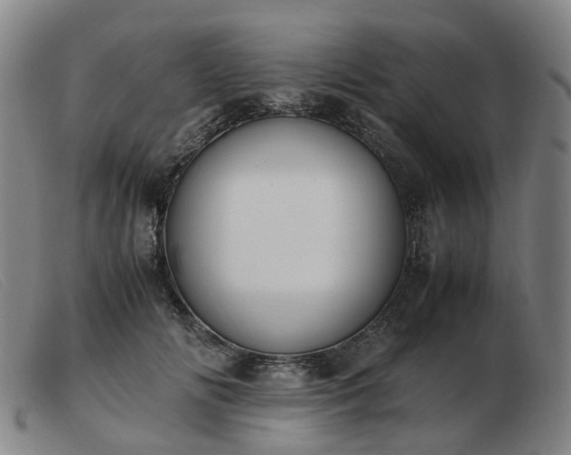 X0000103450702200809191748