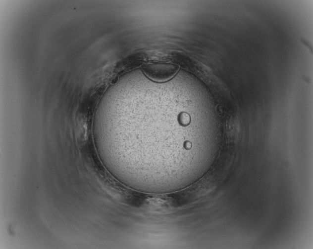 X0000103450703200809191748
