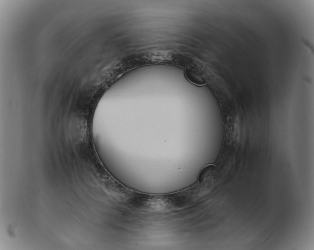 X0000103450704200809191748