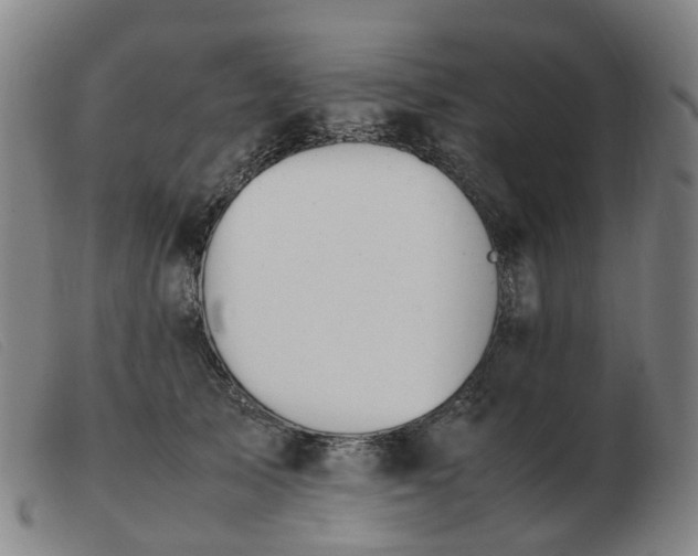X0000103450705200809191748