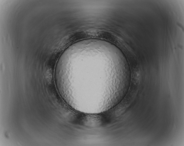 X0000103450707200809191748