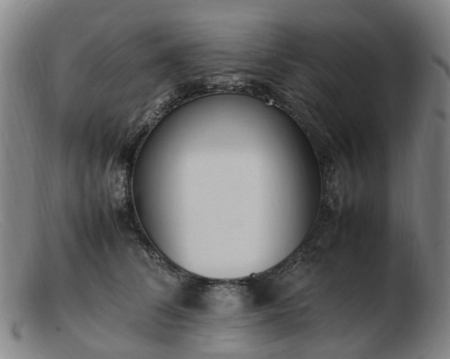 X0000103450708200809191748