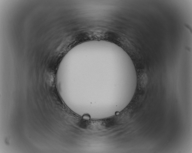 X0000103450709200809191748