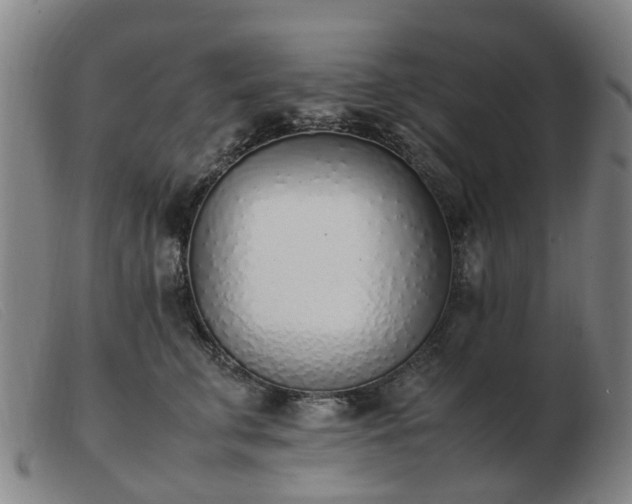 X0000103450711200809191748